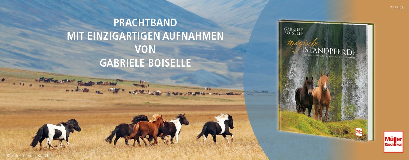 Bildkarussell - Bild  1